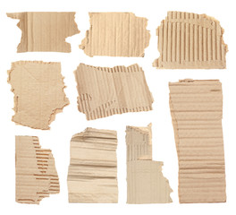 Set with pieces of torn cardboard on white background