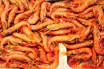 Stall with shrimps in fish market in Athens, Greece