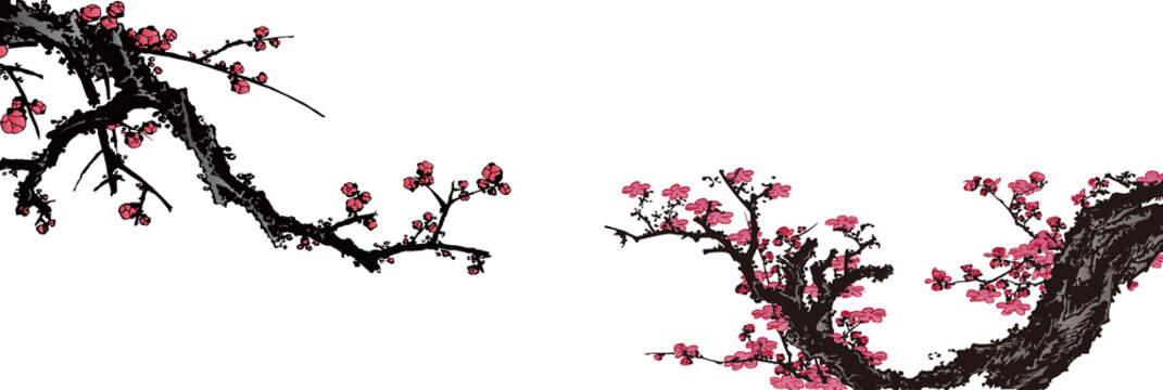 9 115 件の最適な 桜の幹 画像 ストック写真 ベクター Adobe Stock 9 115 件の最適な 桜の幹 画像 ストック写真 ベクター Adobe Stock
