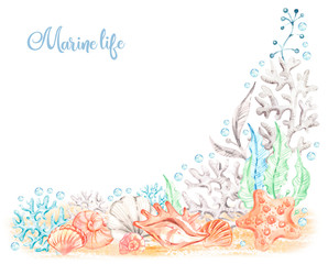 Fototapeta premium Watercolor sea illustration with colorful seashell background. Handpainted marine life background. Watercolour animals. Colorful ocean nature background. Watercolor illustration. Sketch illustration
