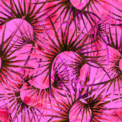 Fototapeta premium Jungle Summer Seamless Pattern Tropical Exotic