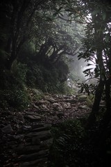 Mountain trek