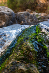 green mosso na roock in a valley in Oman
