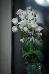 fading white flowers on the window, evening