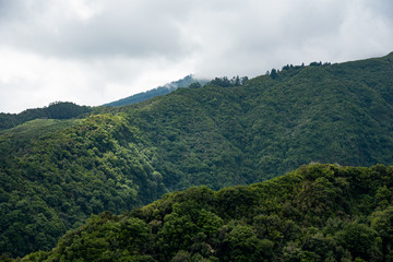 view of mountain poster
