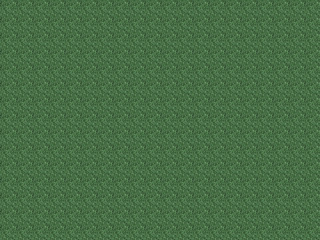 Fototapeta premium Green Lichen Texture, Digital Art