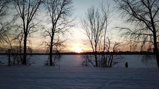 winter sunset with trees, landscape, snow