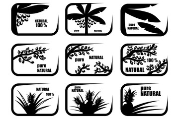 A set of nine icons for the theme of pure nature. Environmentally friendly product. Coconuts, lemons, pineapples.