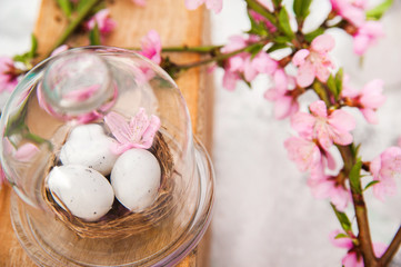 Quail eggs in a diy nest. Easter card in trendy color. Happy Easter concept with eggs and flowering branch. Spring, easter, eggs close-up and copy space.