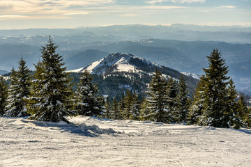 Awesome mountain winter snowy landscape with trees and peaks. Frosty mountain day, exotic wintry scene.