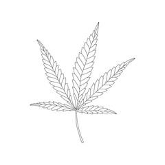 Linear Hemp leaf. Cannabis vector icon. Isolated vector illustration.