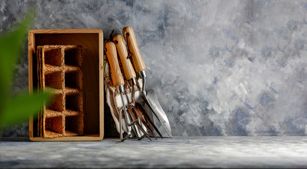 Garden tools decoration and free space for your product. 