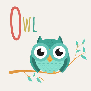 Colorful book alphabet. Book of animals. Owl. Letter O