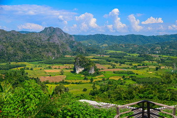 Fototapeta na wymiar Phu Langka mountain National Park Payao Province thailand.