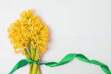 Spring yellow flowers hyacinth on white background with copy space, top view