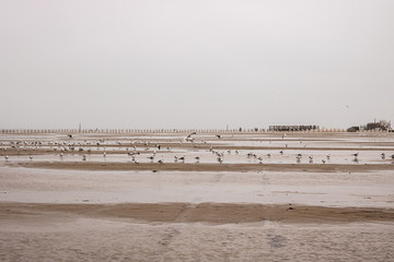 lovely, windy beach