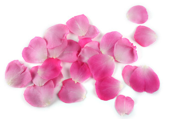 Rose petals in a shape of heart. Valentine's day concent