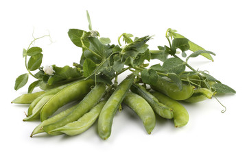 Pea branch and pods isolated on white