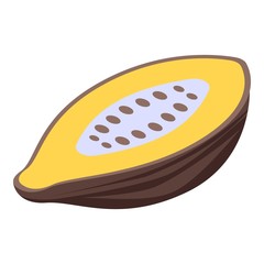 Cutted cocoa fruit icon. Isometric of cutted cocoa fruit vector icon for web design isolated on white background