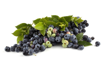 Blueberries isolated on white. Fresh organic berries