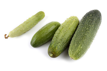 Cucumbers isolated on white bvackground