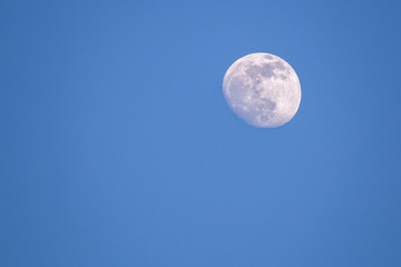 Naklejka na ściany i meble Almost full moon on a blue sky detailed during day time