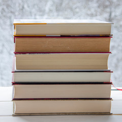 A lot of multi-colored books stand on a white wooden shelf against the backdrop of winter forest