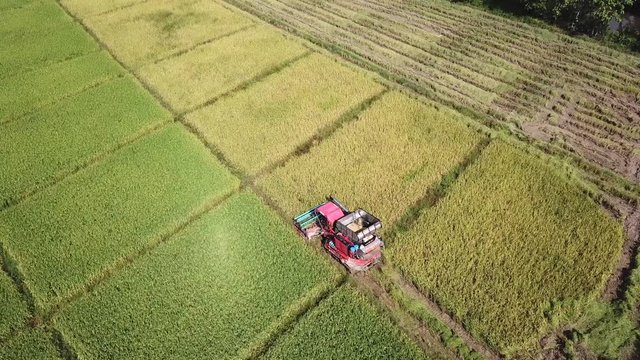 Combine Harvester Working On Farmland 4K Aerial Shot