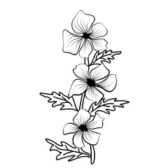 Black outlines of flowers. Flower icon. Vector outline illustration. Floral illustration. Flower background. Isolated white background.