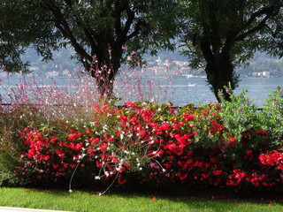 Comersee Villa Melzi