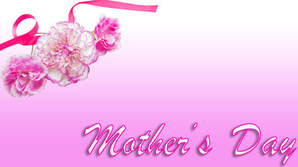 母の日　カーネーション　mothers day