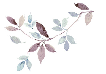 Flowers watercolor illustration.Manual composition.Big Set watercolor elements.