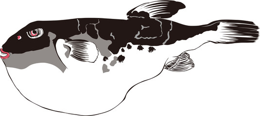 浮世絵　ふぐ　その1