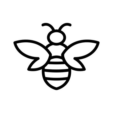 Bee icon vector. Thin line sign. Isolated contour symbol illustration