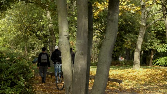 Hartenbergpark / A man rides with his bicycle through the park