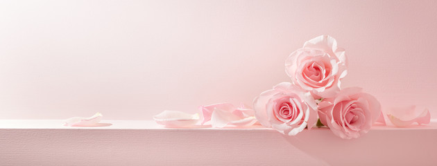 Pink rose petals set on pastel pink background