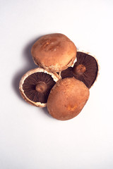 Overhead View Of Fresh Mushrooms On White Background