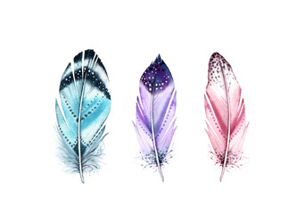 Watercolor feather set. Realistic painting with vibrant colourful wings. Boho style illustration isolated on white. Wild bird feather set in Rustic bright colors