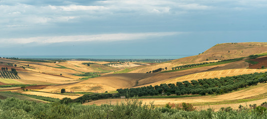 Fototapeta premium Rural landscape near Serracapriola, Apulia, Italy