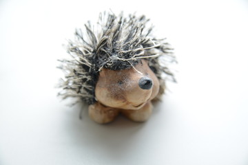  Cute little hedgehog for home closeup.