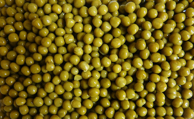 Pisum Sativum o arvejas, fuente de proteínas y buenas para adelgazar
