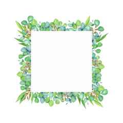 Beautiful botanic frame isolated on white background. Hand drawn watercolor eucalyptus leaves.