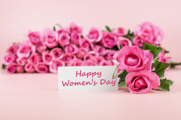 Pink Rose flower on pink background with copy space for text. Love, International Women day, Mother day and Happy Valentine day concept