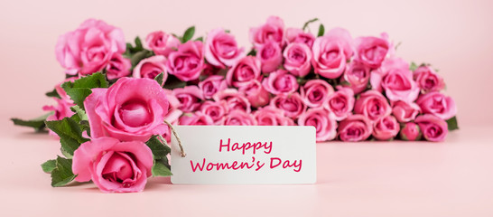 Pink Rose flower on pink background with copy space for text. Love, International Women day, Mother day and Happy Valentine day concept