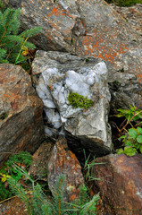 feuchte steine