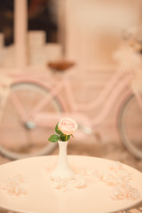 home interior decoration: the branches in vintage bottles and baskets on white shelves