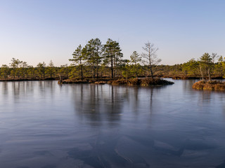 beautiful bog landscape in the morning