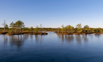 beautiful bog landscape in the morning