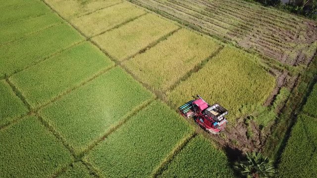 Combine Harvester Working On Farmland 4K Aerial Shot