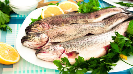 Lemon, parsley, fish and onion lying on the plate